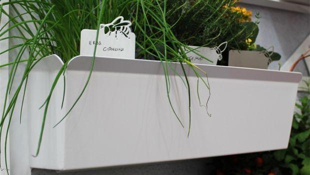 Tildenet Growers Choice - Etichette Per Piante A T In Plastica Bianca, Confezione Da 10, 120 X 60 Mm