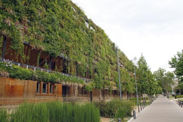 Giardino verticale fai da te Come costruire un giardino verticale