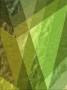 Tappeto Greenery colore Pantone del 2017 di Illulian
