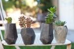 Piante grasse in vasi di pietra da Pinterest