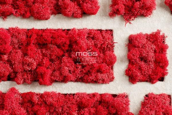 Decorazioni da parete di muschio rosso Moss Trend