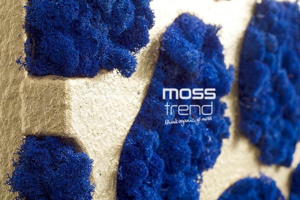 Decorazioni da parete di muschio blu Moss Trend