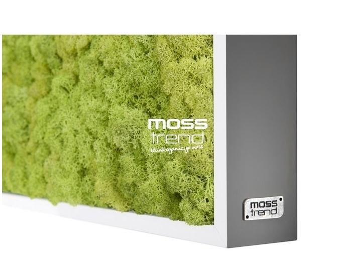 Quadro muschio licheni Moss Trend