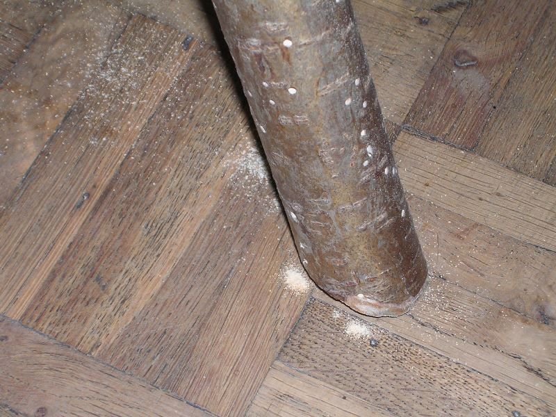 Cura del legno Eliminare tarli dai mobili