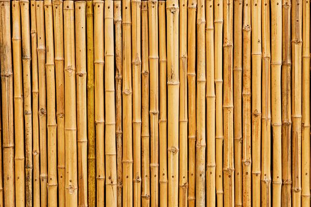 Costruzioni In Bambù Materiale Ecosostenibile