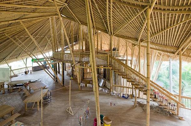 Progetto Green school bambù