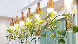 Soluzione progettuale su misura per l'illuminazione artificiale delle piante.
