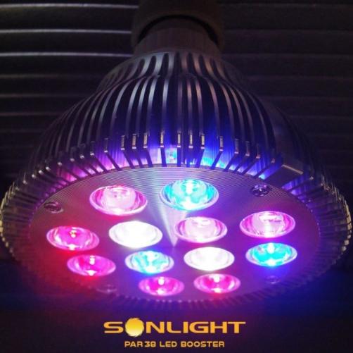 Lampada per coltivazione indoor Sonlight PAR38 LED Booster di Sonlight