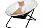 Gatto domestico su amaca by Robinson Pet Shop