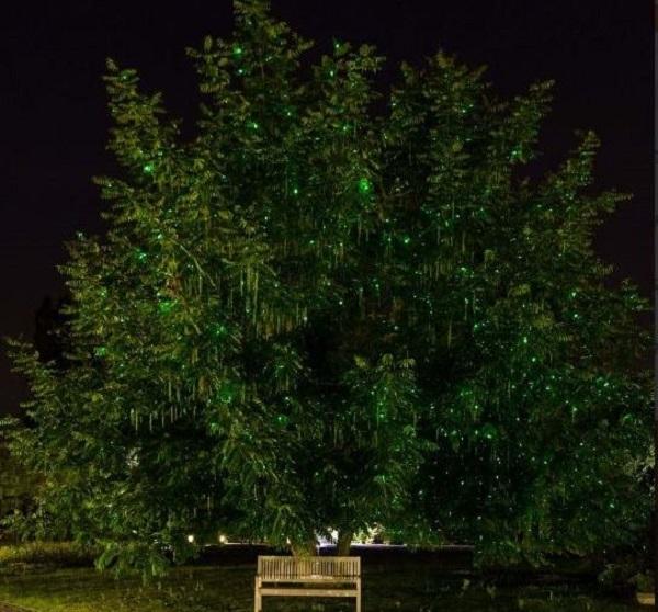 Decorazioni natalizie laser: Luminal Park