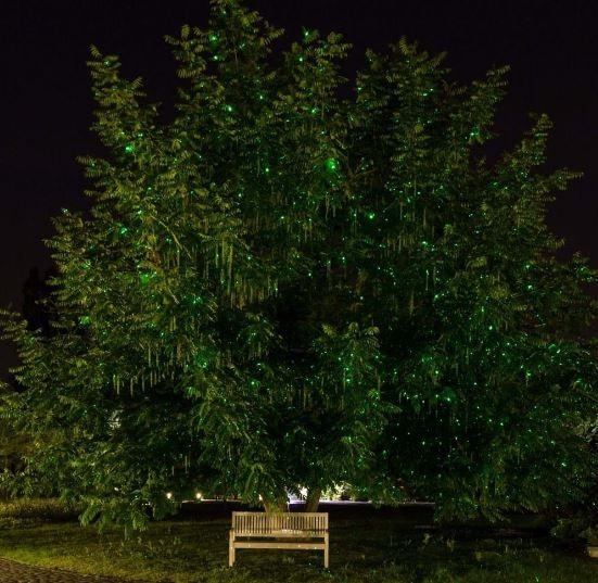 Decorazioni laser verdi di Luminal Park