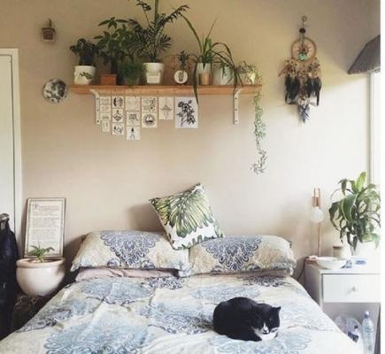 Una mensola da riempire con piante da camera da letto