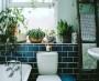 Sono tante le alternative per arredare il bagno con le piante, da Pinterest