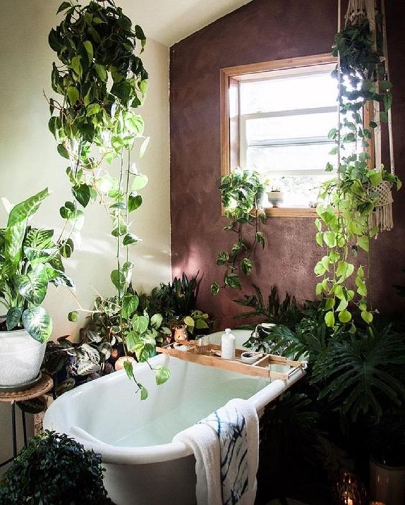 In bagno, ogni angolo diventa green, dal blog Architempore