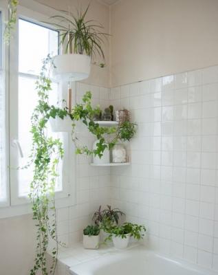 Angoli green in bagno, da Pinterest