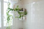 Angoli green in bagno, da Pinterest