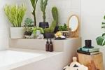 Il bordo della vasca per accogliere piante da bagno, da Pinterest