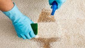 Consigli e soluzioni per eliminare le macchie dai tappeti