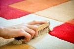 Spazzola per eliminare macchie dai tappeti