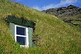 Il tetto verde di una casa tradizionale islandese