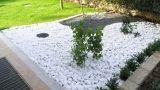 Sassi da giardino: decorare l'esterno con ciottoli e graniglia