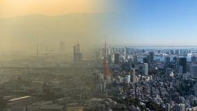 Soluzioni assorbi smog per ridurre l'inquinamento in città