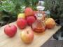 Aceto di mele per rimuovere i cattivi odori delle tubature