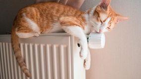 Valvole termostatiche analogiche e domotiche per riscaldare senza sprechi