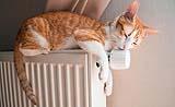 Le valvole termostatiche consentono di regolare efficacemente la temperatura nelle stanze
