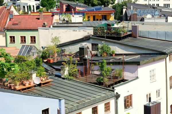 L'impiego del verde sui tetti è un espediente che migliora il microclima interno