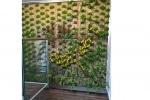 Giardino verticale realizzazione - Pellegrini Giardini