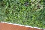 Muro vegetale esterno - Sundar Italia