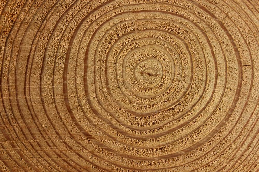 Il legno è il materiale naturale tradizionalmente più usato