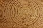 Il legno è il materiale naturale tradizionalmente più usato