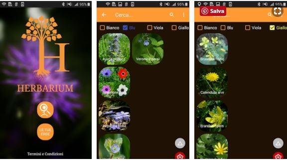 App riconoscimento piante Herbarium