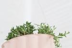 Trasformare le tortiere in vasi per piante da appendere, da sugarandcloth.com