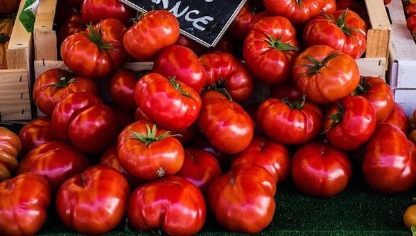 Pomodori cuori di bue