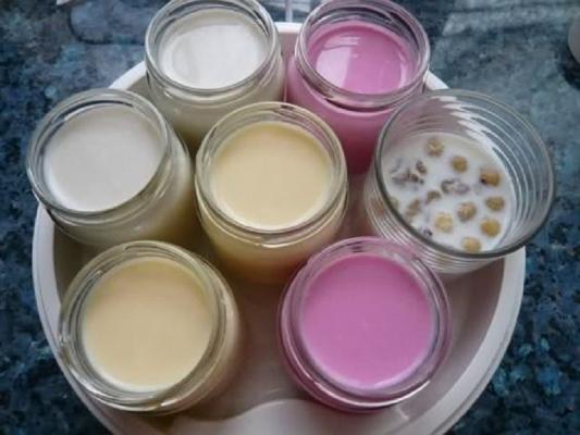 Yogurtiera, piccolo elettrodomestico per merende sane, by mundorecetas.com