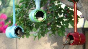 Idee creative: come realizzare casette per uccellini fai da te