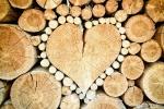 Il legno è tra i materiali più ecosostenibili