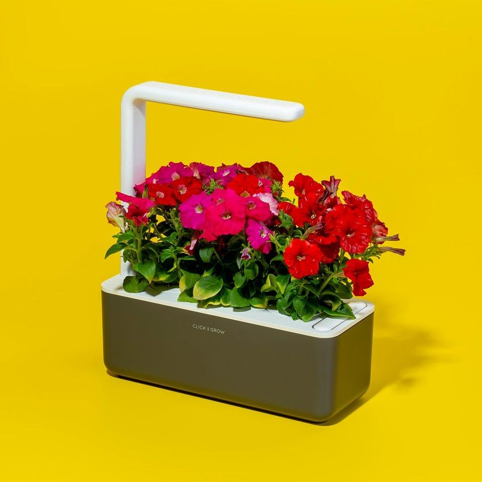 Serra mini The Smart Garden 9 - Design e foto by Click&Grow