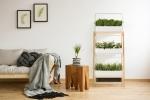 Serra mini The Smart Garden 27 - Design e foto by Click&Grow
