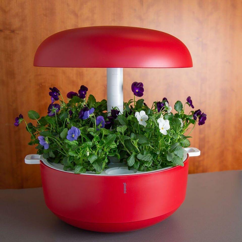 Serra idroponica smart Plantui Red - Foto e design by Plant