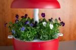 Serra idroponica smart Plantui Red - Foto e design by Plant