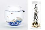 Complementi d'arredo con biosfera in miniatura Beachworld by The Art of Science