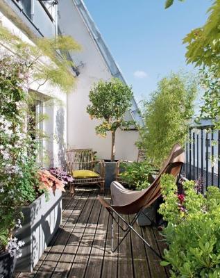 Il balcone può essere la nostra oasi verde personale - Fonte: Pinterest