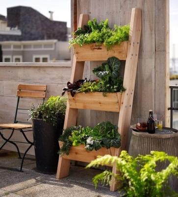 Sempre più spesso si organizzano piccoli orti casalinghi sul balcone - Fonte: Pinterest