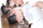 Pulizia zampe animali domestici con spray Amazon