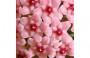 Fiore di cera rosa da wairosegarden.com