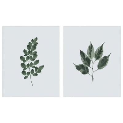Poster BILD con piante a foglie verde - Design e foto by Ikea